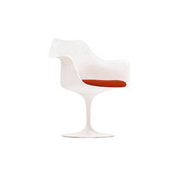 郁金香扶手椅 埃罗·沙里宁 Eero Saarinen 埃罗·沙里宁